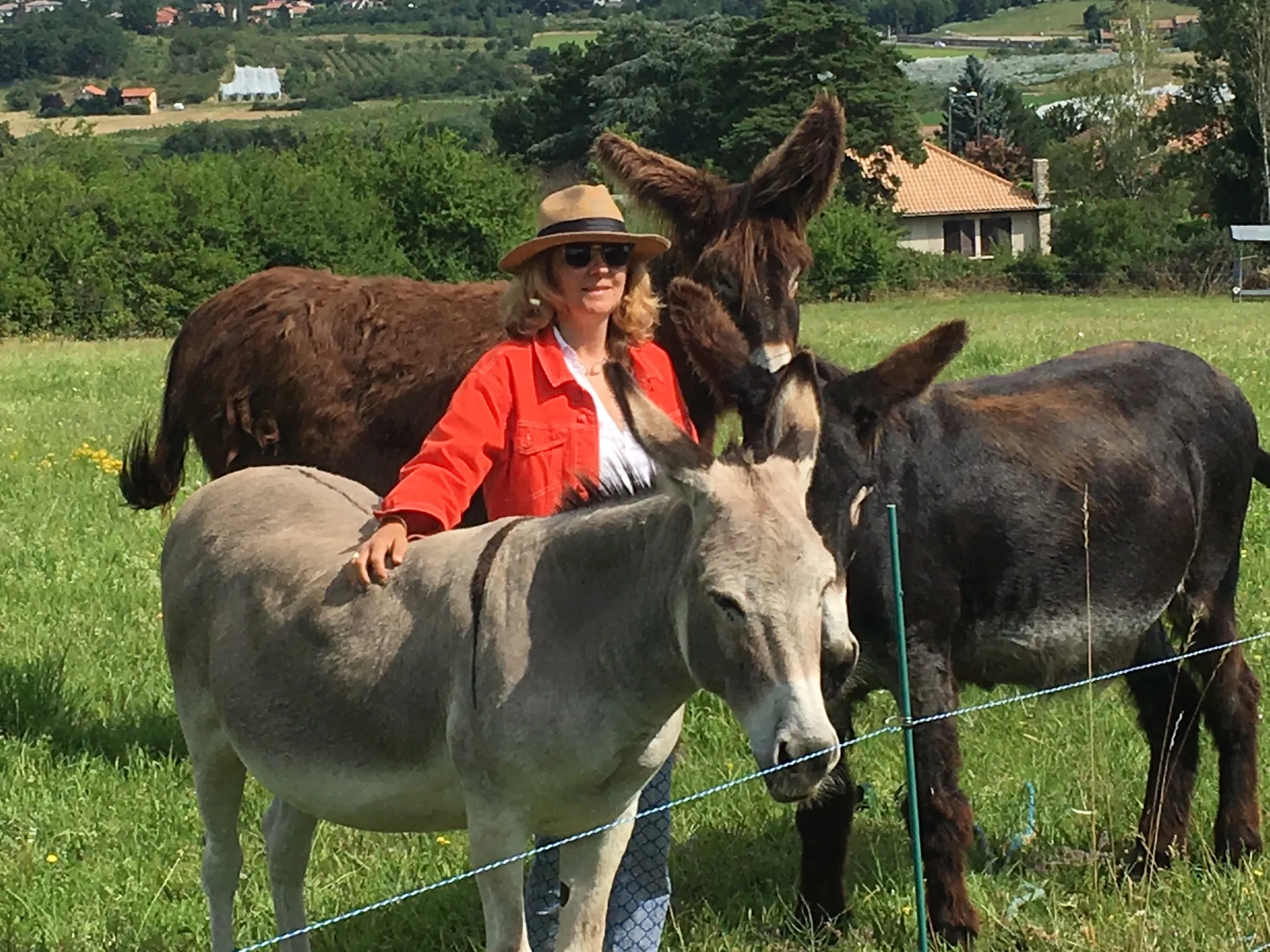 Voitures d'Antan Ane Heidi 11