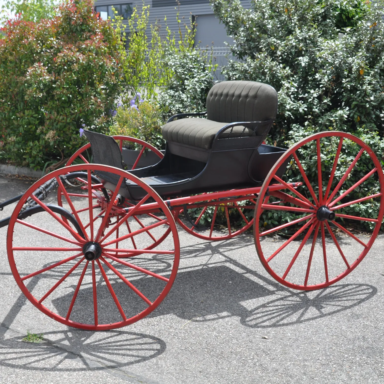 Voitures d'Antan Calèche Buggy Américain 10