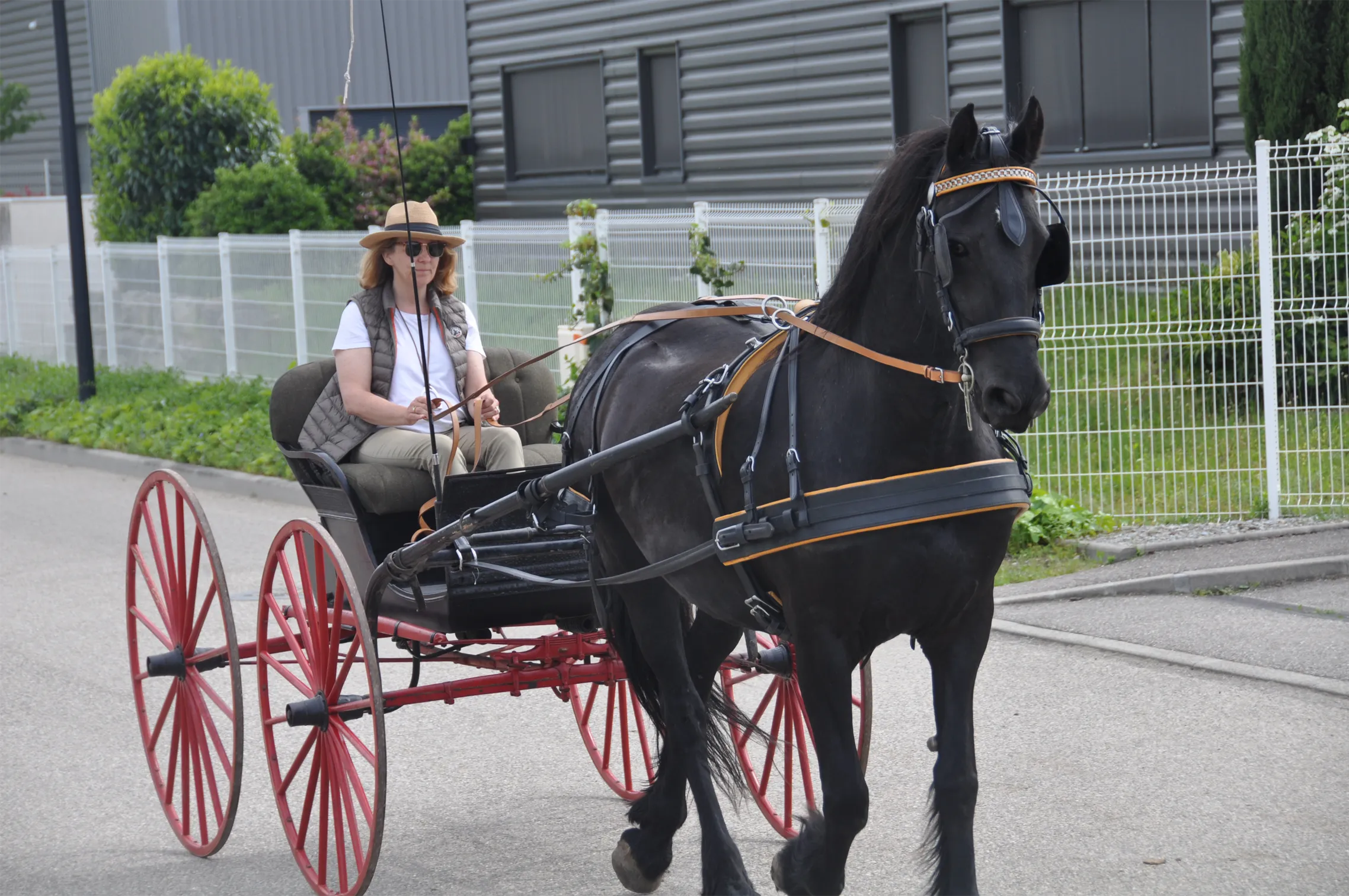 Voitures d'Antan Calèche Buggy Américain 11
