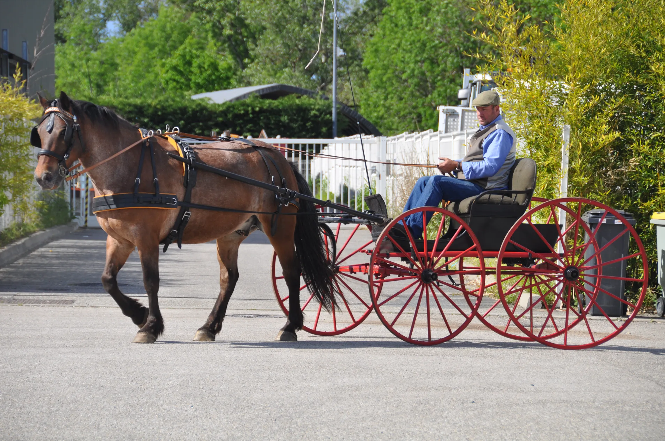 Voitures d'Antan Calèche Buggy Américain 12