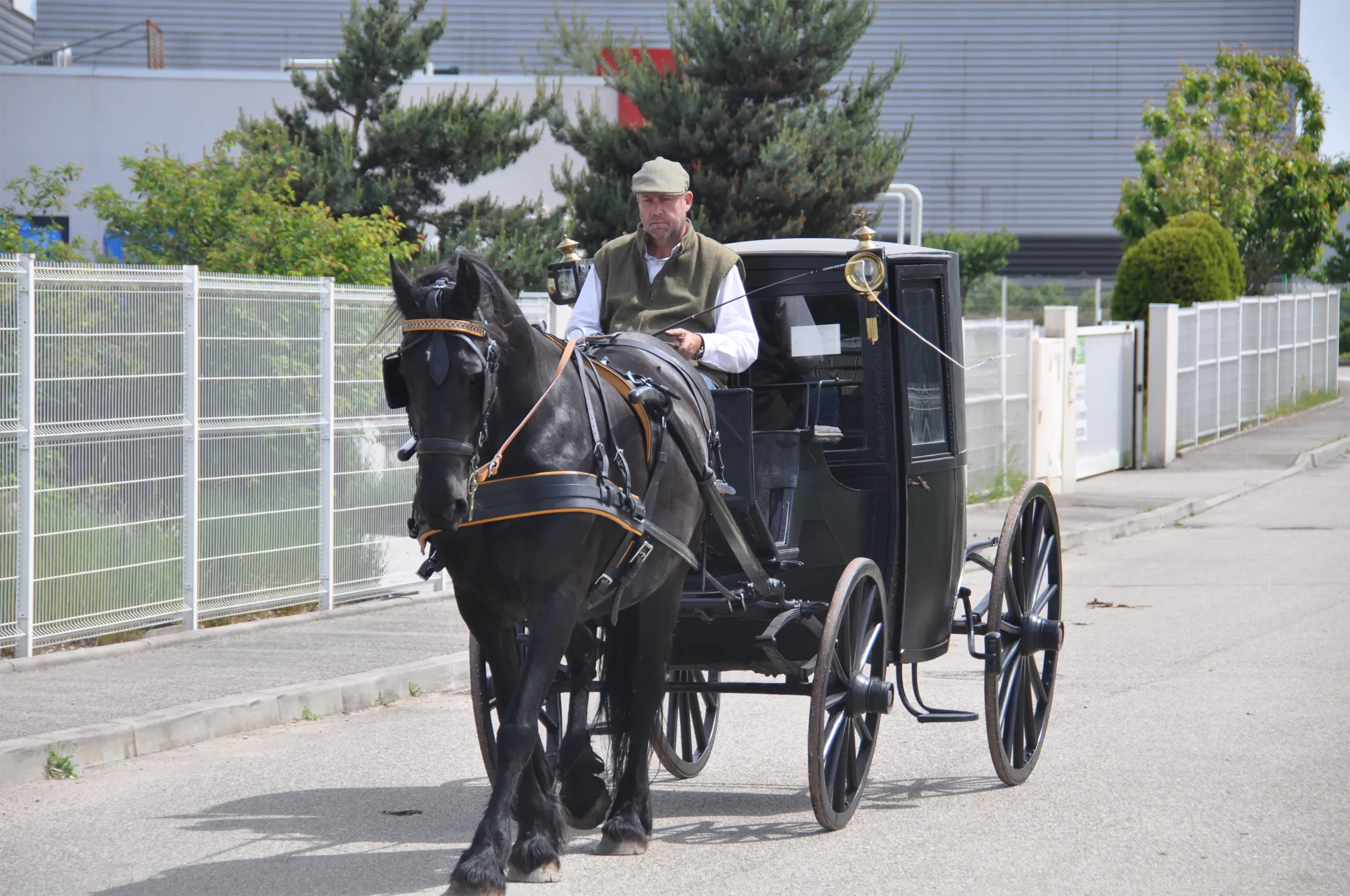 Voitures d'Antan Calèche Coupé de Ville Noir 13