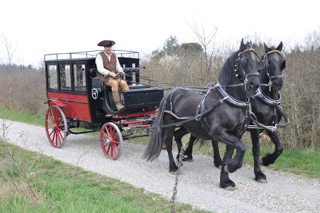Voitures d'Antan Calèche Omnibus 13