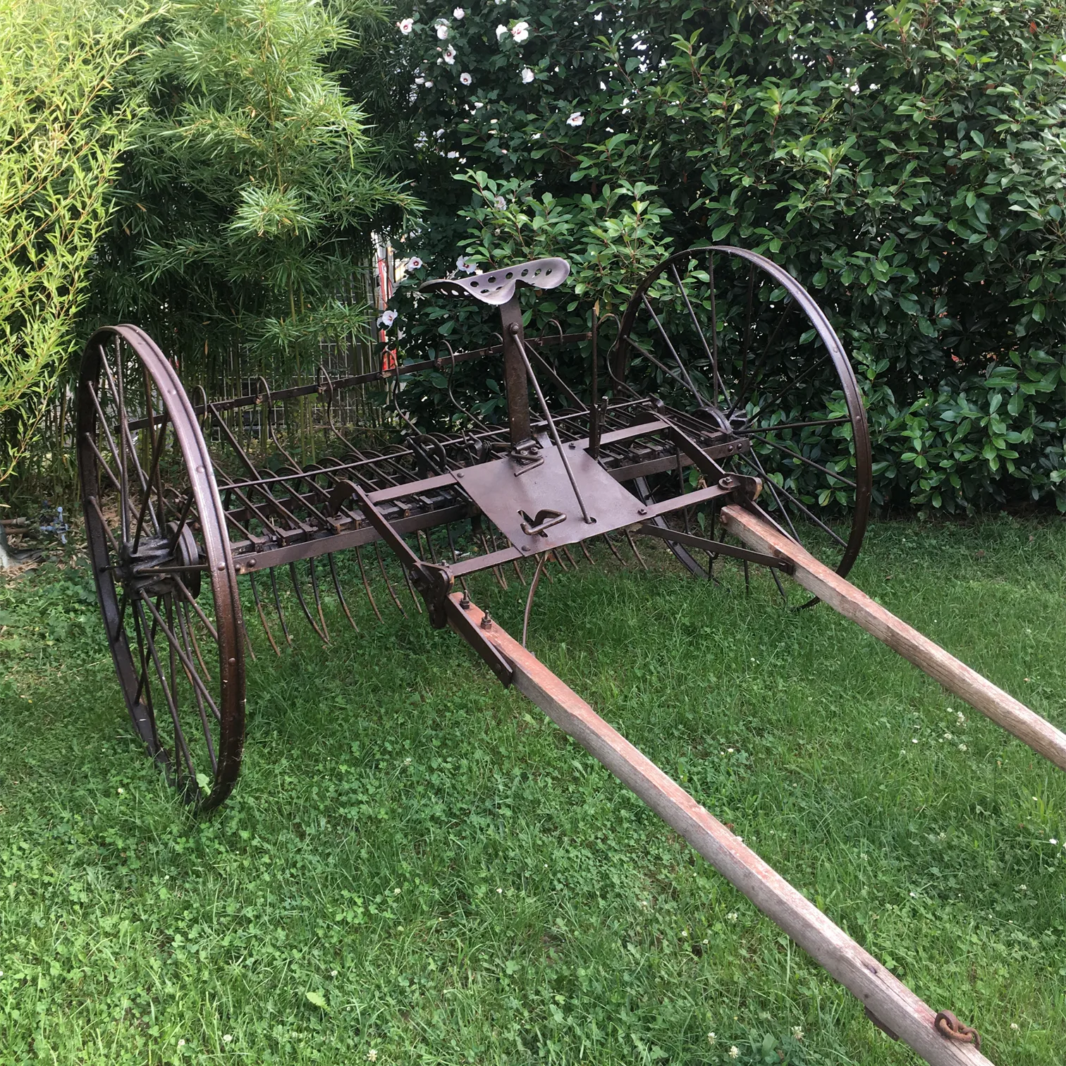 Voitures d'Antan Calèche Rateau Faneur 10