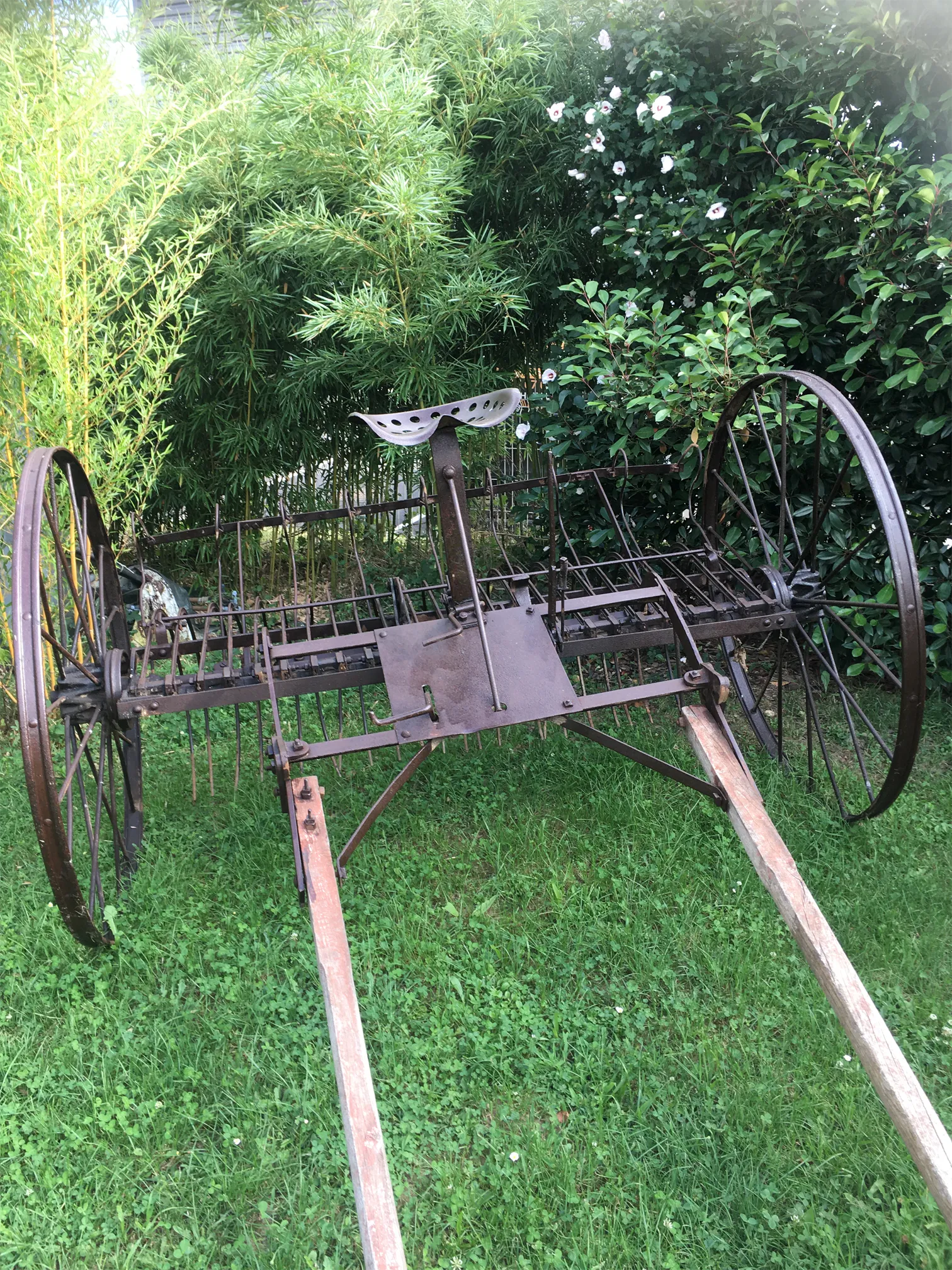Voitures d'Antan Calèche Rateau Faneur 12