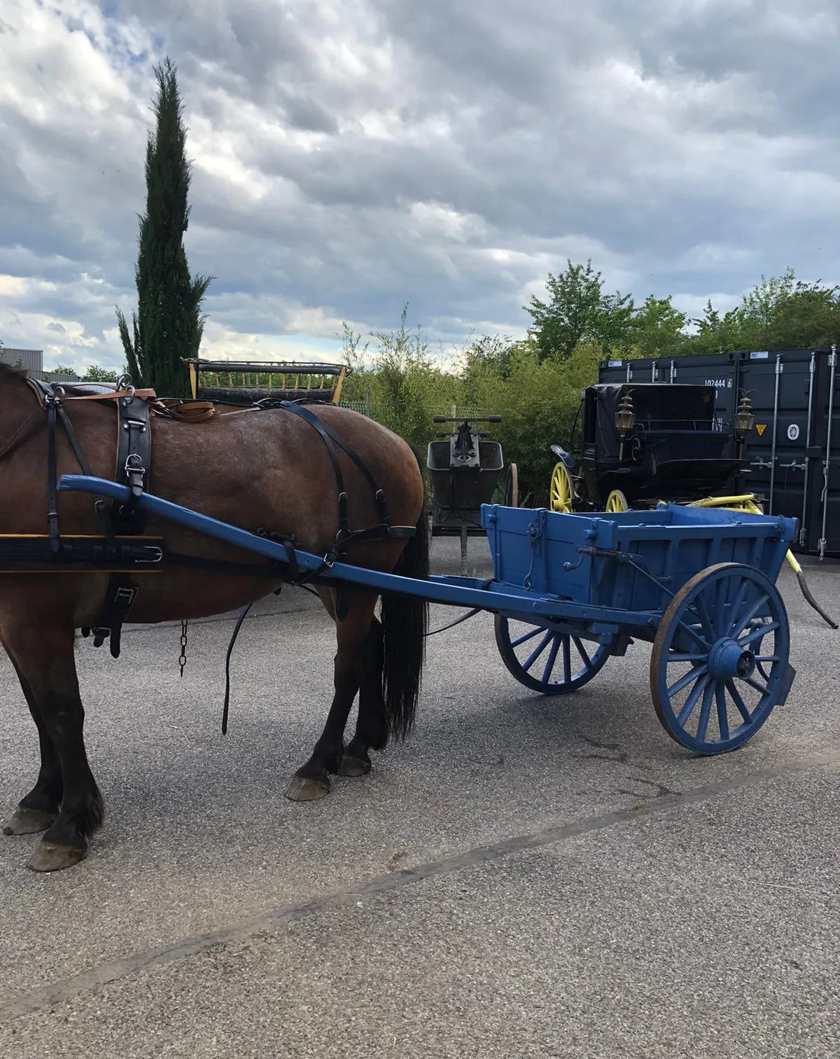 Voitures d'Antan Calèche Tombereau 12
