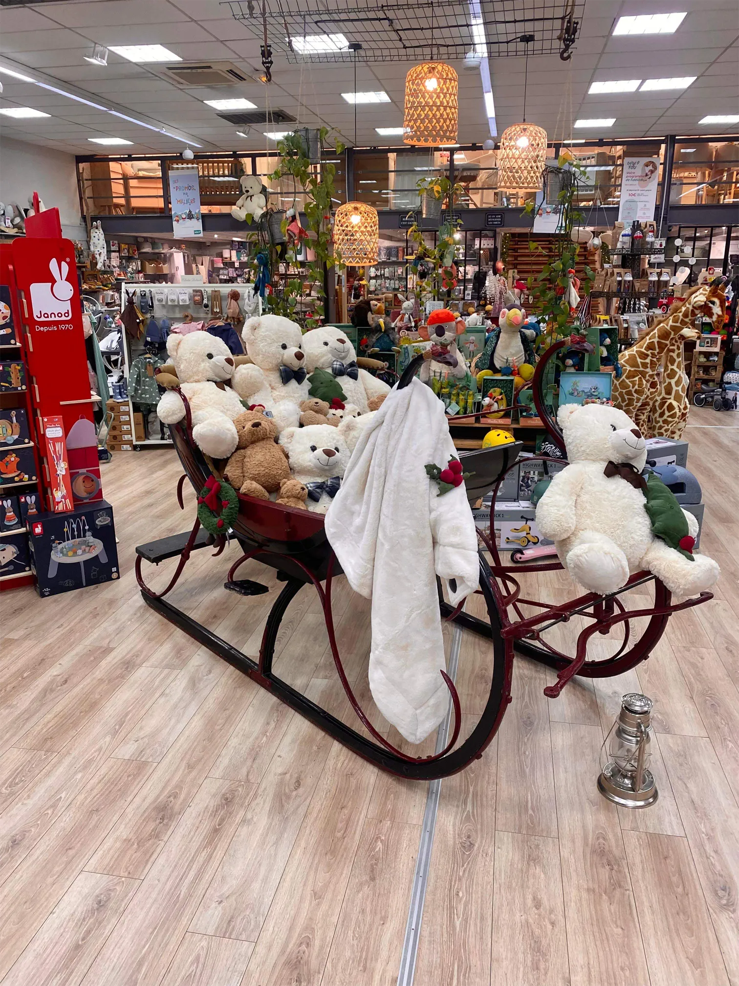 Voitures d'Antan Calèche Traineau Cygne 13