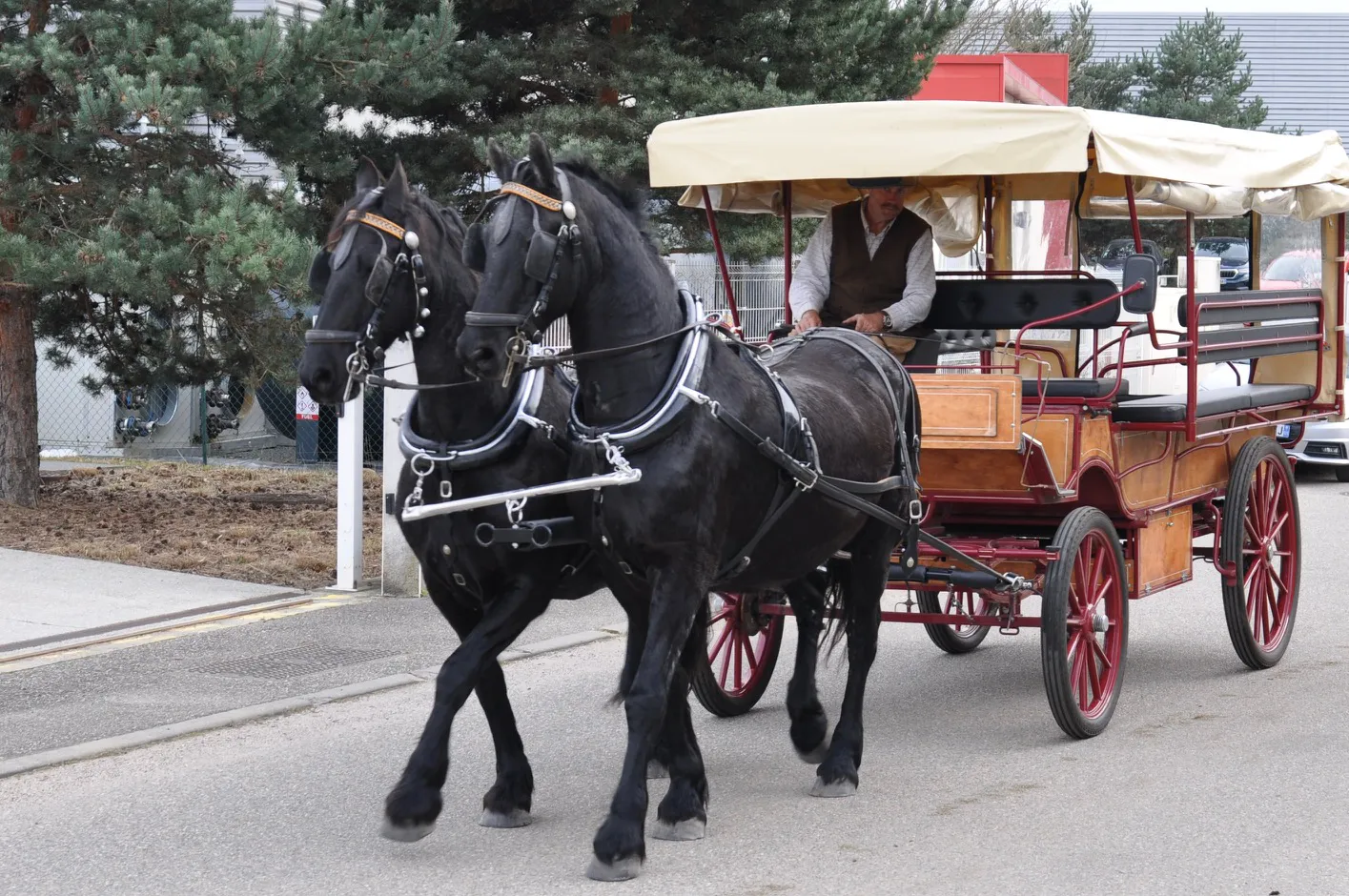 Voitures d'Antan Calèche Wagonette PMR 11