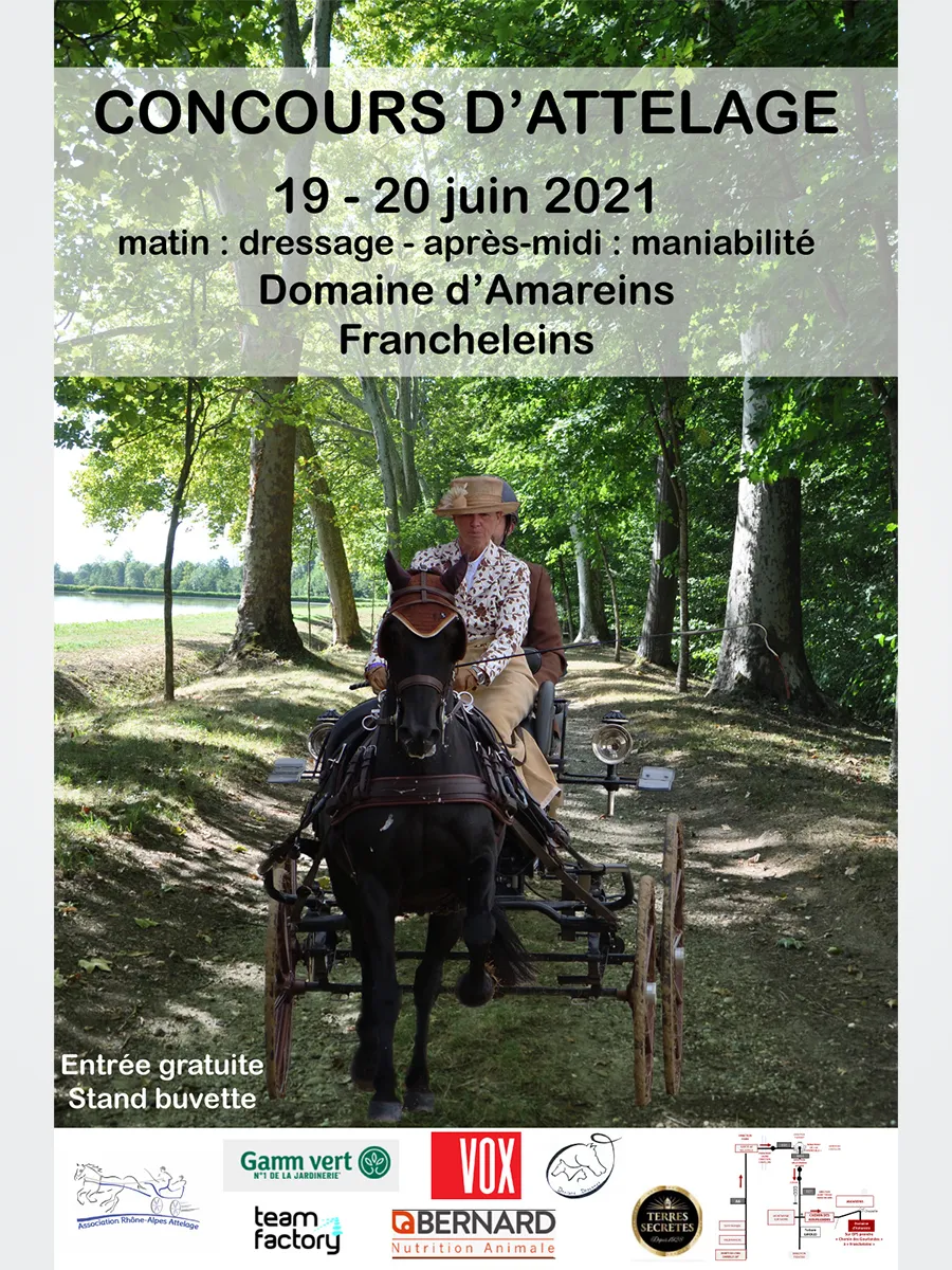 Compétition Attelage Amareins Francheleins 2021