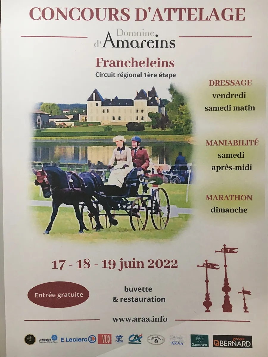 Compétition Attelage Amareins Francheleins