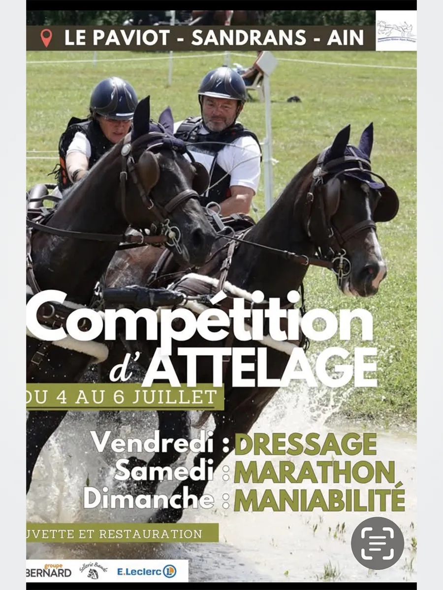 Compétition Attelage Le Paviot