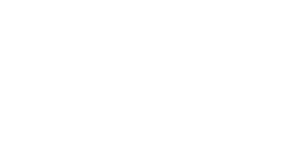 Voitures d'Antan Les Hippodromes de Lyon
