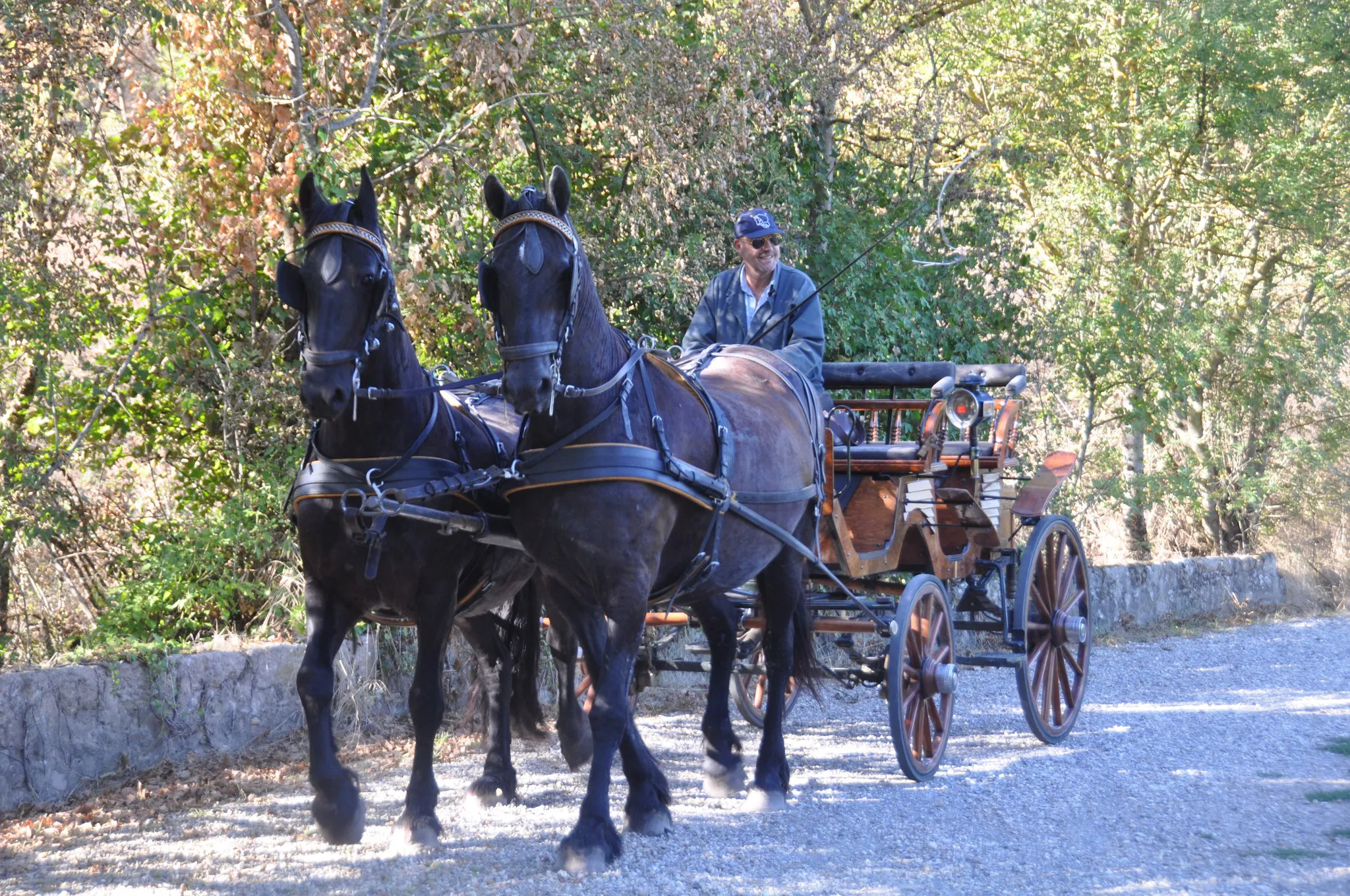 Voitures d'Antan - Balades depuis Vourles 69 - Découverte Domaine Equin