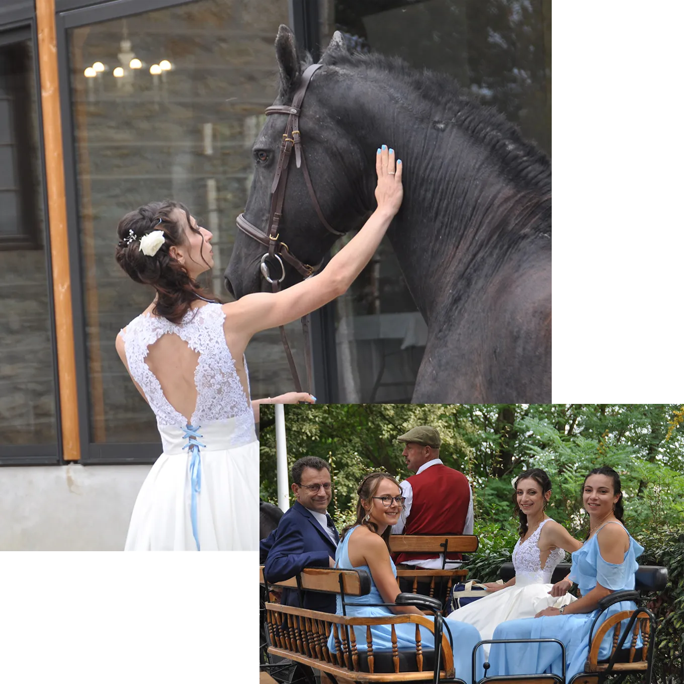 Voitures d'Antan - Prestation Mariage Cheval Calèche Lyon